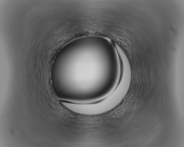 X0000115271105200911131801
