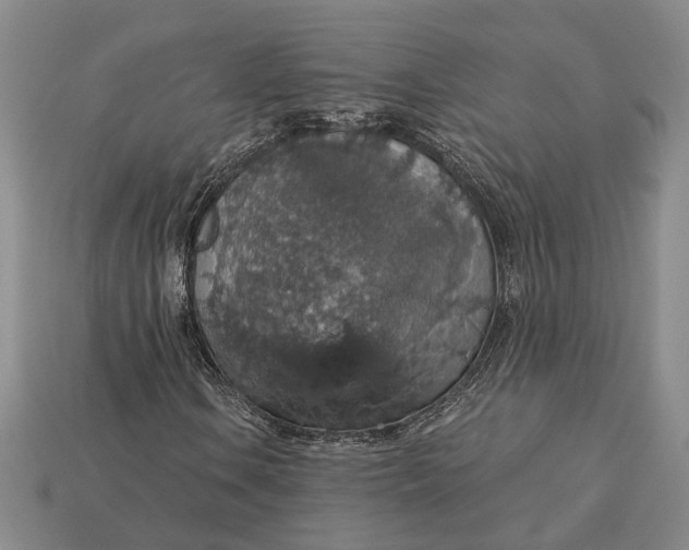 X0000115271106200911131801