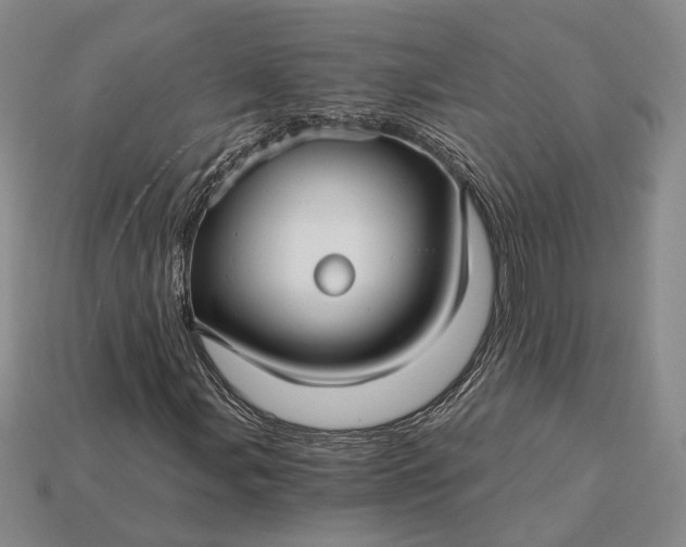 X0000115271107200911131801