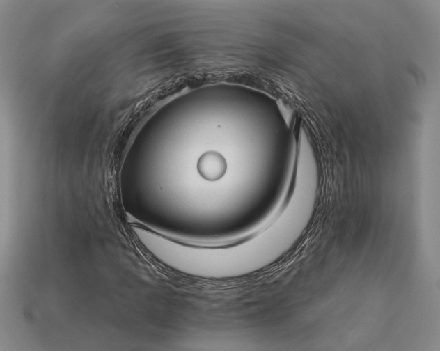 X0000115271109200911131801