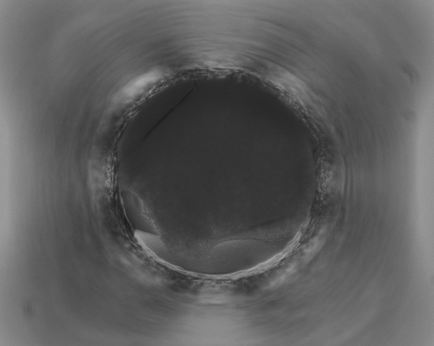 X0000115271110200911131801