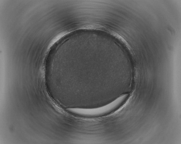 X0000115271114200911131801