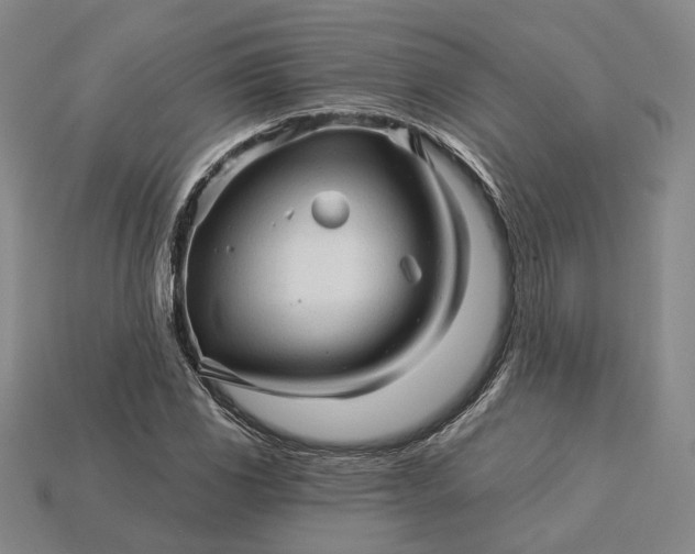 X0000115271117200911131801