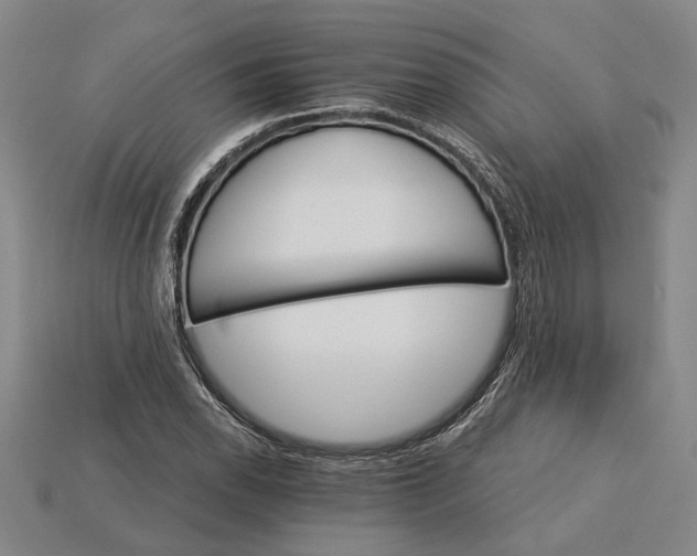 X0000115271118200911131801