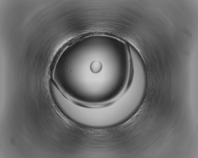 X0000115271119200911131801