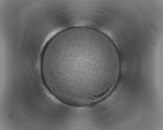X0000115271122200911131802