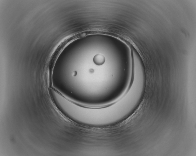 X0000115271123200911131802