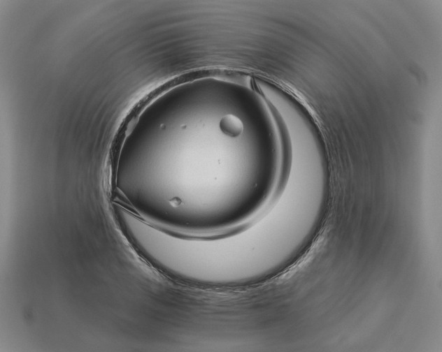 X0000115271125200911131802