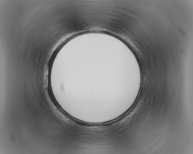X0000115271126200911131802