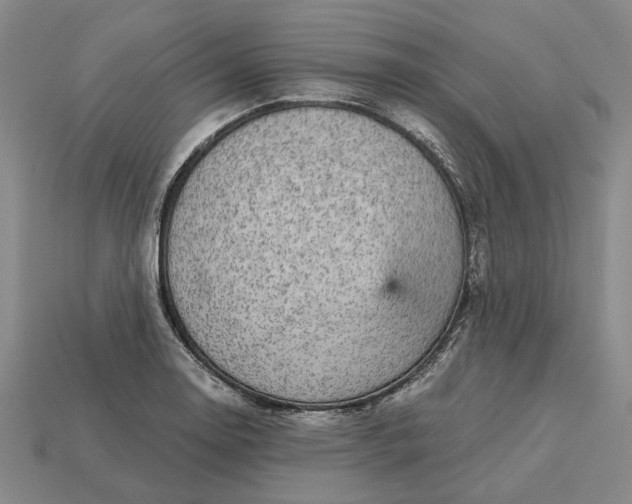 X0000115271130200911131802