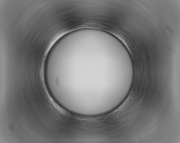 X0000115271131200911131802