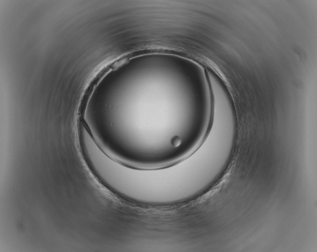 X0000115271133200911131802