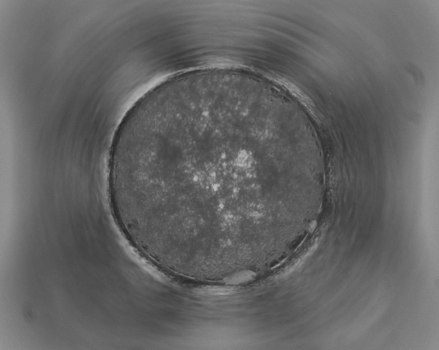 X0000115271134200911131802