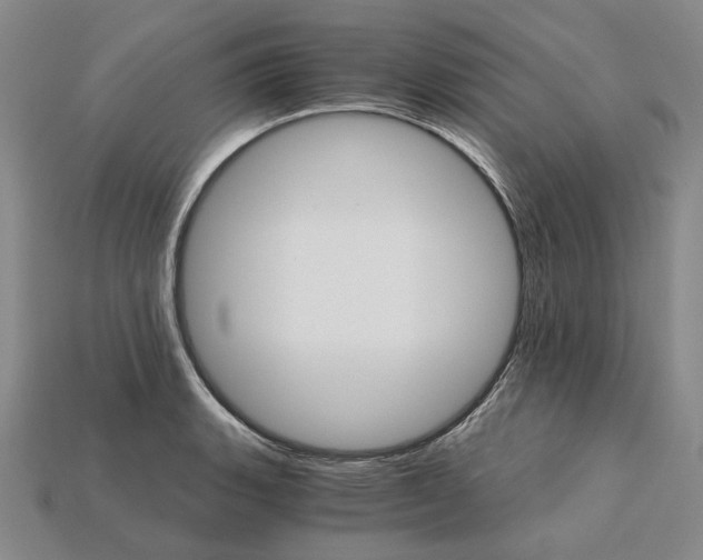 X0000115271135200911131802