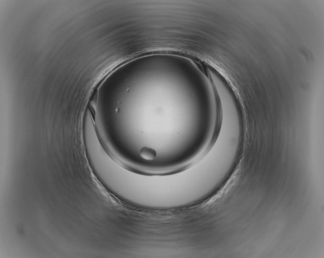 X0000115271137200911131802