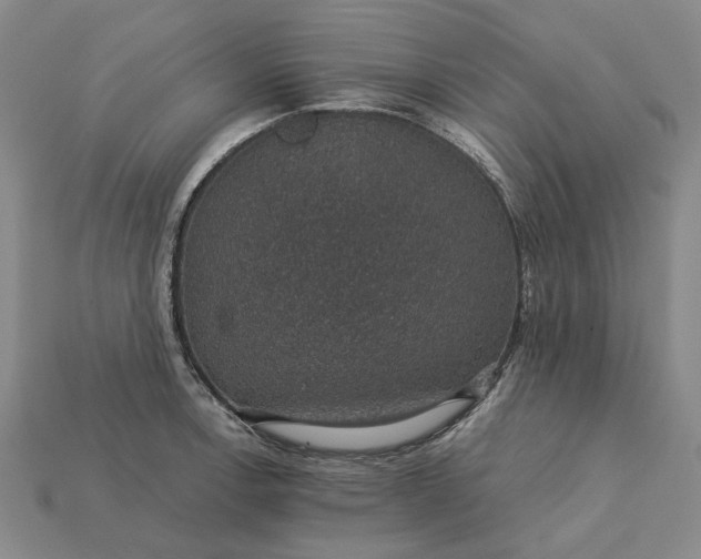 X0000115271138200911131802