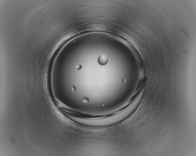 X0000115271139200911131802