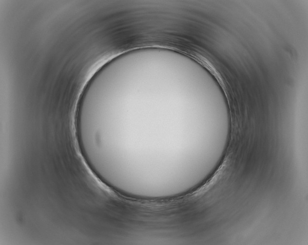 X0000115271141200911131802