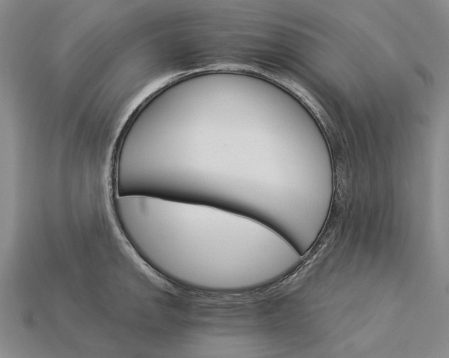 X0000115271142200911131802