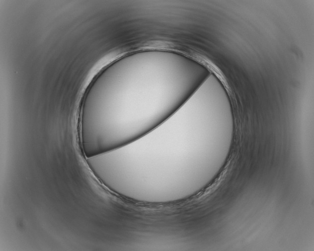 X0000115271146200911131802