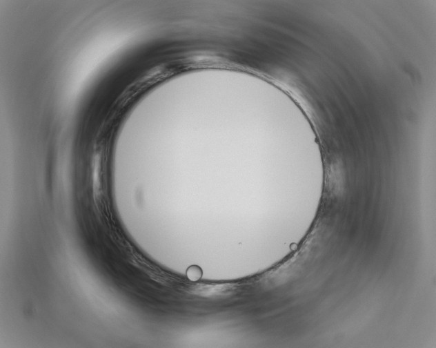 X0000115271150200911131802
