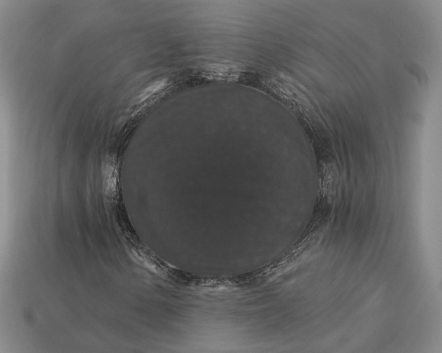 X0000115271154200911131801