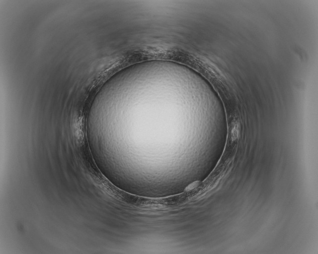X0000115271156200911131801