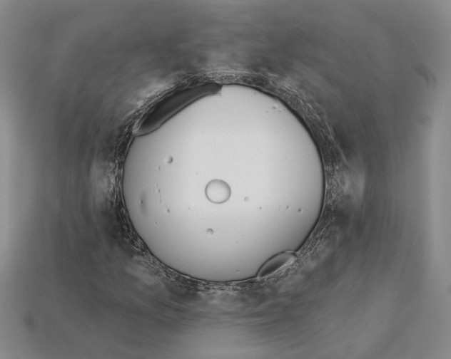 X0000115271157200911131801