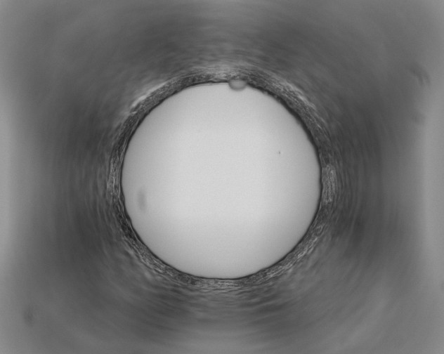 X0000115271158200911131801