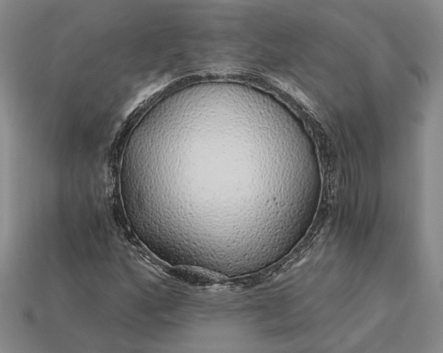 X0000115271160200911131801