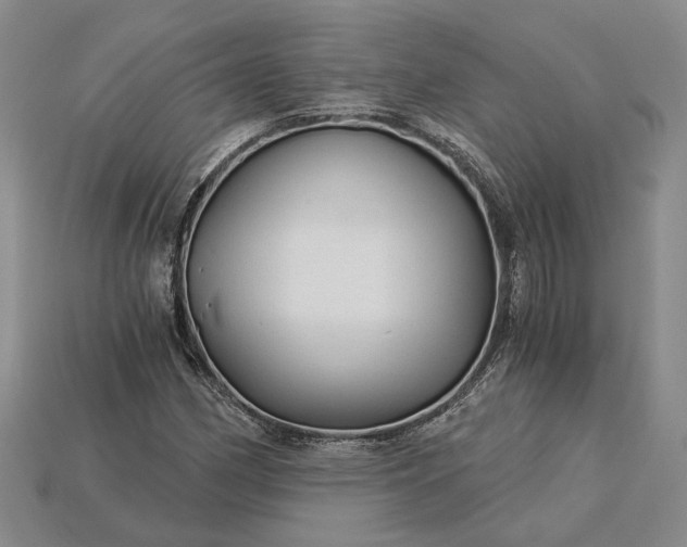 X0000115271162200911131801