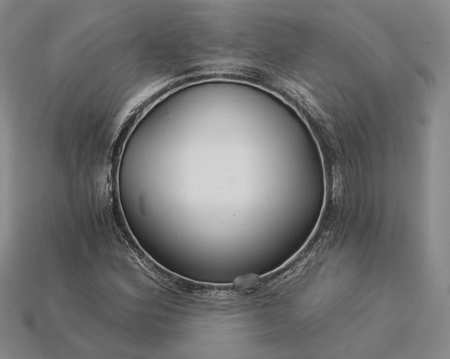 X0000115271164200911131801