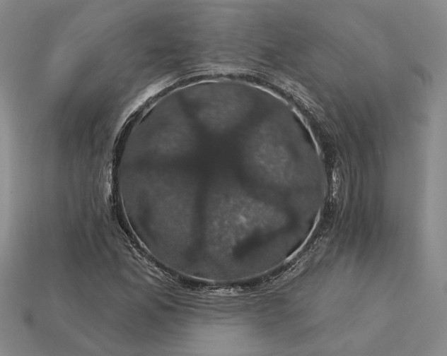 X0000115271165200911131801