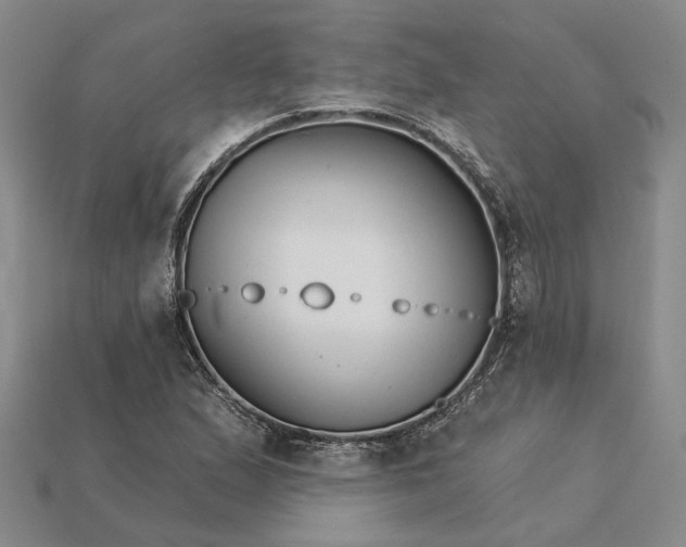 X0000115271167200911131801