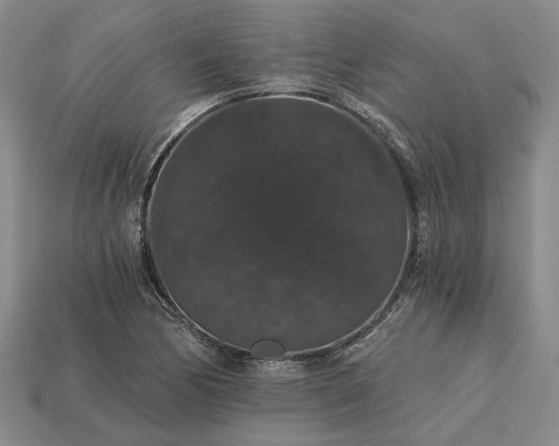 X0000115271170200911131801