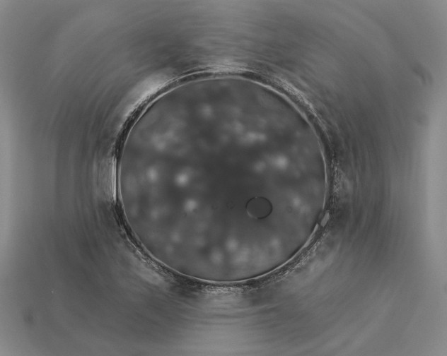 X0000115271171200911131801