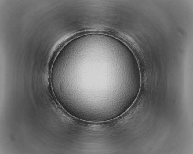 X0000115271172200911131801
