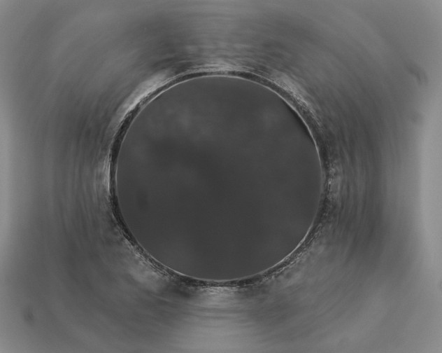 X0000115271173200911131801