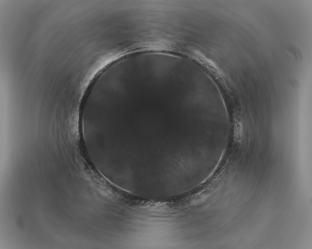 X0000115271174200911131801
