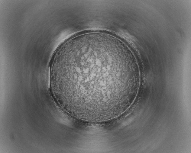 X0000115271175200911131801