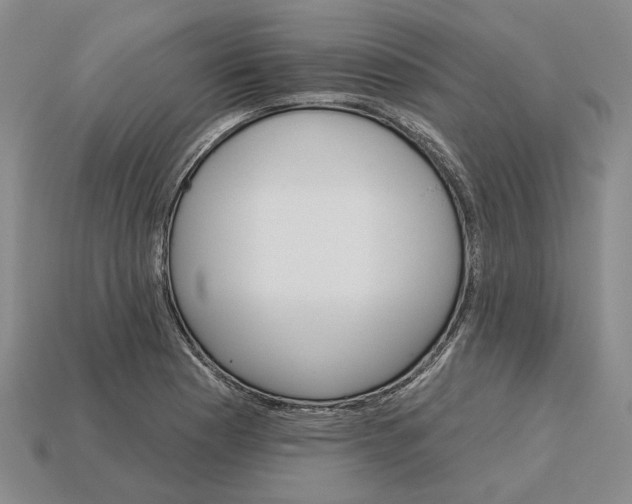 X0000115271177200911131801