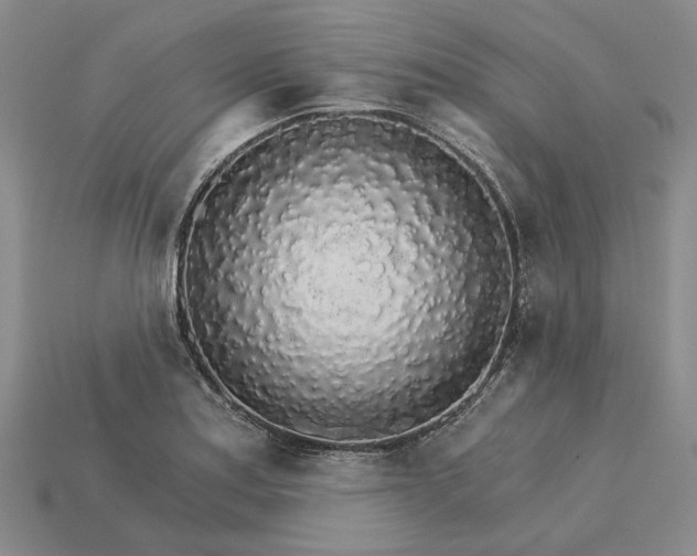 X0000115271179200911131801