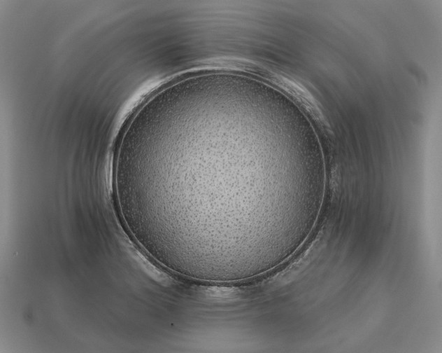 X0000115271180200911131801