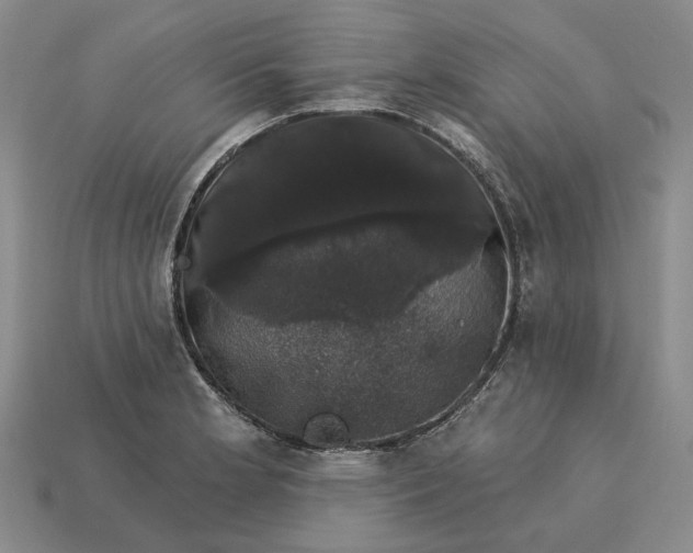 X0000115271181200911131801