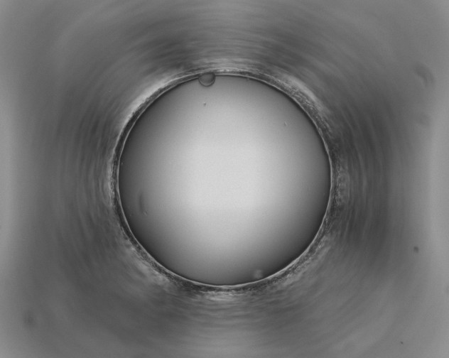 X0000115271182200911131801
