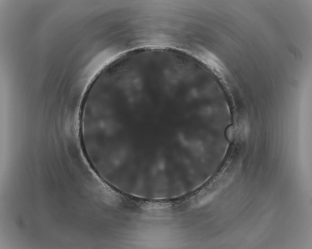 X0000115271183200911131801