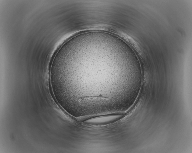 X0000115271184200911131801