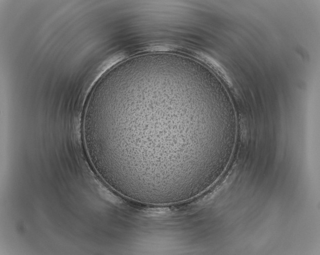 X0000115271186200911131801