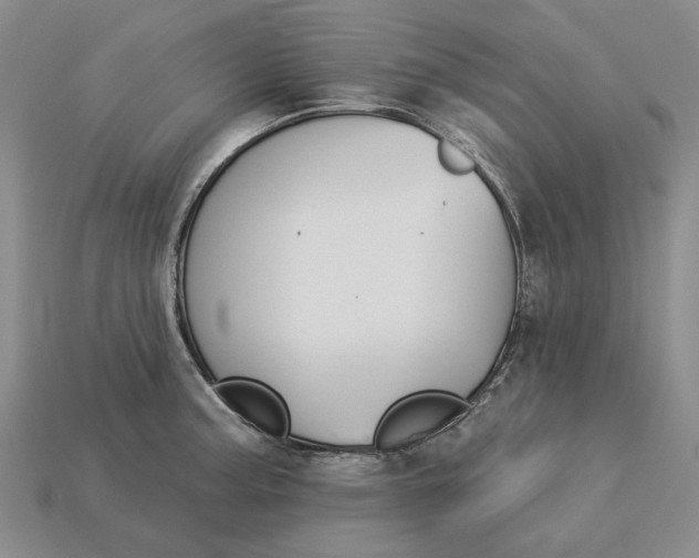 X0000115271187200911131801