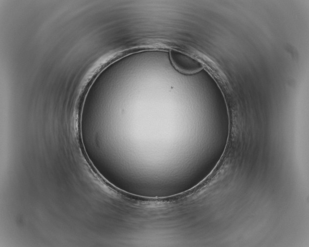X0000115271188200911131801